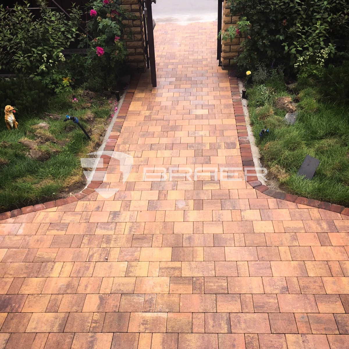 Изображение Изображение