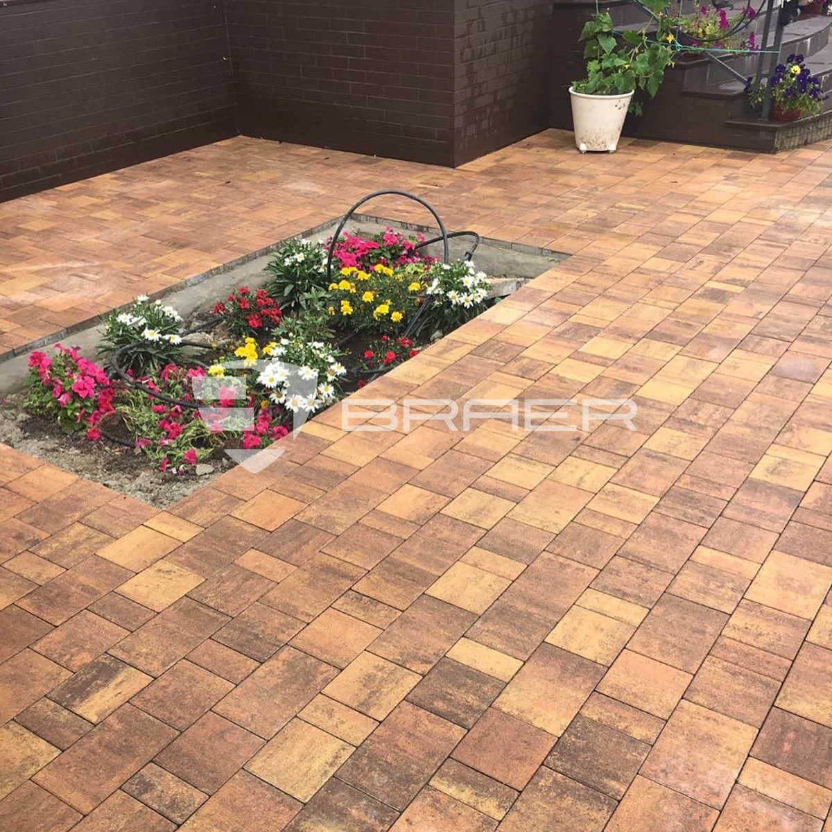 Изображение Изображение