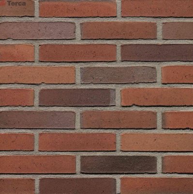 Кирпич голландский облицовочный Passiebloem WF50 TERCA (Wasserstrich) арт. 11139907