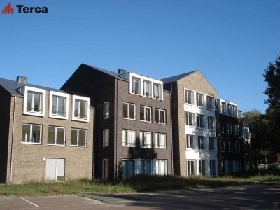 Кирпич ручной формовки Hoornbloem WFD65 TERCA (Wasserstrich) арт. 11134627 поверхность под старину на kkontinent.ru