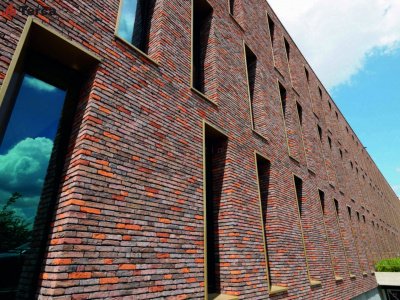 Кирпич ручной формовки  Ringoven Maaseiker Bont WFD65 TERCA арт 1700120 поверхность под старину на kkontinent.ru