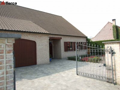 Кирпич ручной формовки Oakington Buff ECO WF Terca арт 124552920 поверхность под старину на kkontinent.ru
