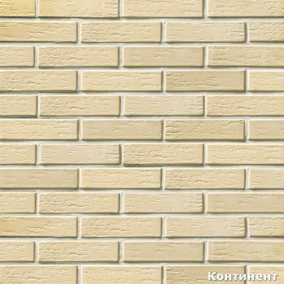 Облицовочный кирпич пустотелый Vecais Sarmite 250*120*65