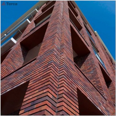 Кирпич ручной формовки Passiebloem WF50 TERCA (Wasserstrich) арт. 11139907 поверхность под старину на kkontinent.ru