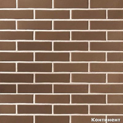 Облицовочный кирпич полнотелый Brunis М500