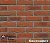 Клинкерная плитка для фасадов Sintra Terracotta Bario R698 Feldhaus Klinker, 215*65*14 мм