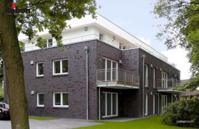 Кирпич полнотелый клинкерный Roben WINDSOR VNF поверхность гладкая рельефная на kkontinent.ru