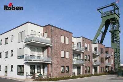 Кирпич клинкер ручной формовки Roben WIESMOOR DF rotblau-bunt поверхность под старину на kkontinent.ru