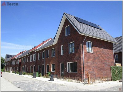Кирпич ручной формовки Passiebloem WF50 TERCA (Wasserstrich) арт. 11139907 поверхность под старину на kkontinent.ru