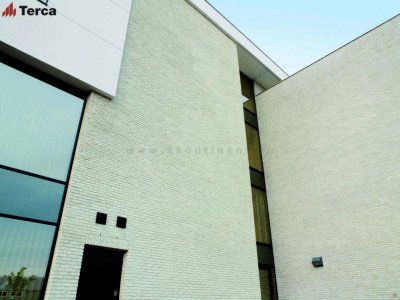 Кирпич ручной формовки Domus Casa Lena WFD65 TERCA арт. 12810412 поверхность под старину на kkontinent.ru