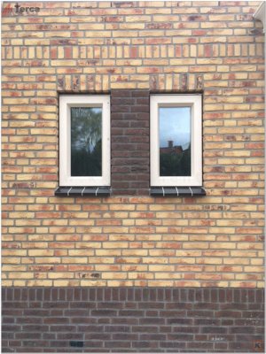 Кирпич ручной формовки Calore TERCA арт. 137360 поверхность под старину на kkontinent.ru