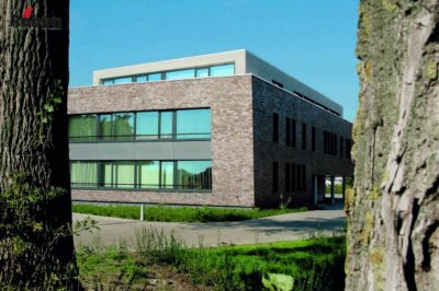 Кирпич клинкерный Roben ACCUM NF blau-braun glatt поверхность гладкая на kkontinent.ru