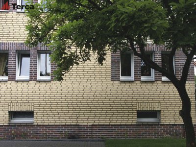 Кирпич ручной формовки Agora Wit Ivoor WF50, ТМ "TERCA" поверхность под старину на kkontinent.ru