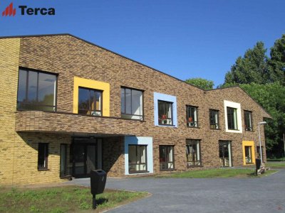 Кирпич ручной формовки Hoornbloem WFD65 TERCA (Wasserstrich) арт. 11134627 поверхность под старину на kkontinent.ru