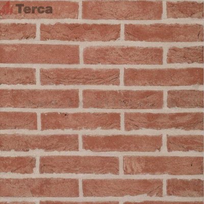 Кирпич облицовочный декоративный Rood WF50 TERCA арт. 12706900