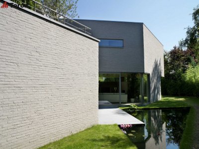 Кирпич ручной формовки Agora Zilvergrijs WF50 Terca арт 1152600 поверхность под старину на kkontinent.ru