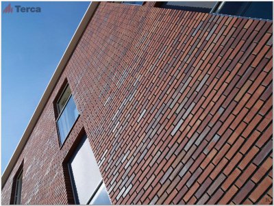 Кирпич ручной формовки Passiebloem WF50 TERCA (Wasserstrich) арт. 11139907 поверхность под старину на kkontinent.ru