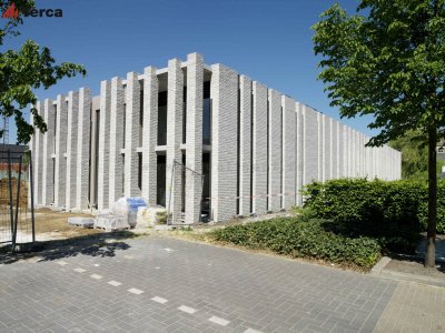 Кирпич ручной формовки Domus Casa Lena WFD65 TERCA арт. 12810412 поверхность под старину на kkontinent.ru
