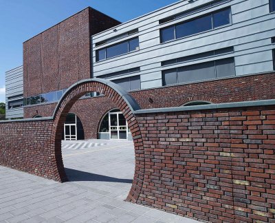 Кирпич ручной формовки Hektiek WF50 TERCA арт 1705600 поверхность под старину на kkontinent.ru