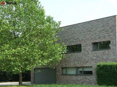 Кирпич ручной формовки Pelham Antique (Barok 83) WDF65 Terca арт 12451110 поверхность под старину на kkontinent.ru