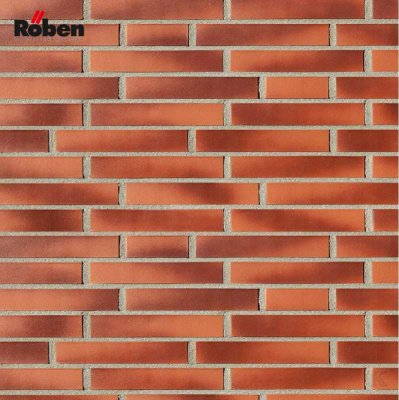 Кирпич клинкерный_darwin LDF_Roben