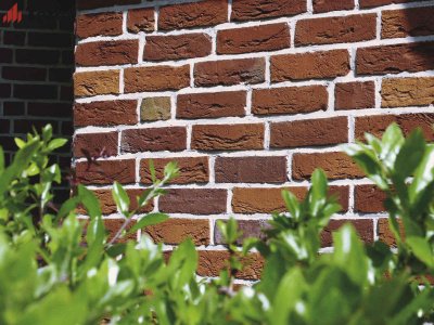 Кирпич ручной формовки  Ringoven Maaseiker Bont WFD65 TERCA арт 1700120 поверхность под старину на kkontinent.ru