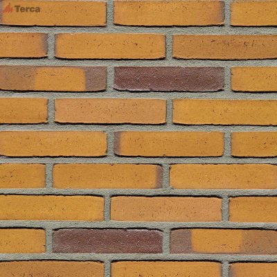 Голландский кирпич Zonnebloem TERCA (Wasserstrich) арт. 11136903