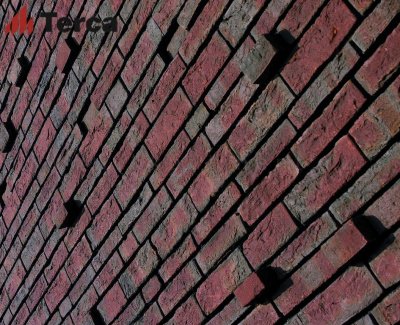 Кирпич ручной формовки Blauw-Rood Genuanceerd WFD65 TERCA арт. 133050 поверхность под старину на kkontinent.ru