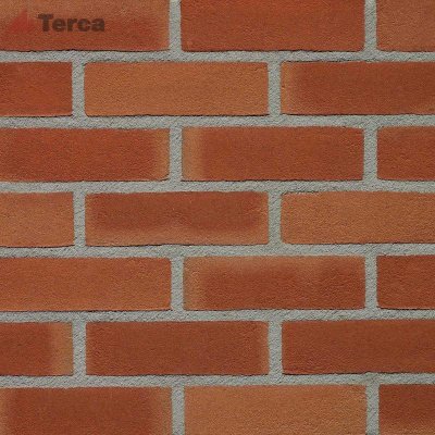 Кирпич голландский Aarderood Gereduceerd Fantasy WF50 TERCA (Vormbak) арт. 1606
