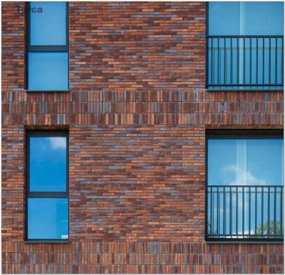 Кирпич ручной формовки Passiebloem WF50 TERCA (Wasserstrich) арт. 11139907 поверхность под старину на kkontinent.ru