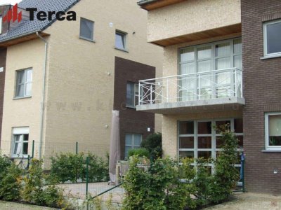 Кирпич ручной формовки Oakington Buff ECO WF Terca арт 124552920 поверхность под старину на kkontinent.ru