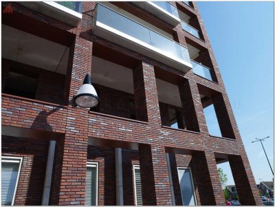 Кирпич ручной формовки Passiebloem WF50 TERCA (Wasserstrich) арт. 11139907 поверхность под старину на kkontinent.ru