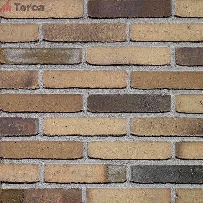 Кирпич голландский облицовочный Hoornbloem WF50 TERCA (Wasserstrich) арт. 11134607