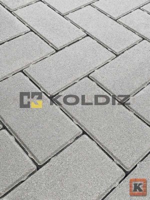_Брусчатка стандарт Серый 100x200х50 мм