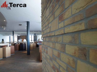 Кирпич ручной формовки Lichtbrons WFD65 TERCA арт. 133420 поверхность под старину на kkontinent.ru