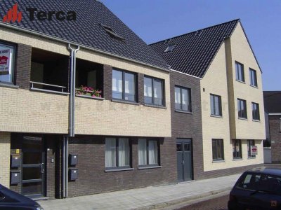 Кирпич ручной формовки Oakington Buff ECO WF Terca арт 124552920 поверхность под старину на kkontinent.ru