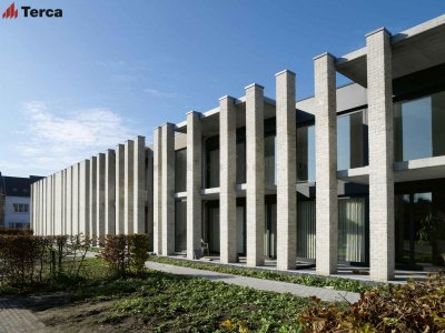 Кирпич ручной формовки Domus Casa Lena WFD65 TERCA арт. 12810412 поверхность под старину на kkontinent.ru