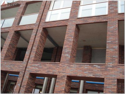 Кирпич ручной формовки Passiebloem WF50 TERCA (Wasserstrich) арт. 11139907 поверхность под старину на kkontinent.ru