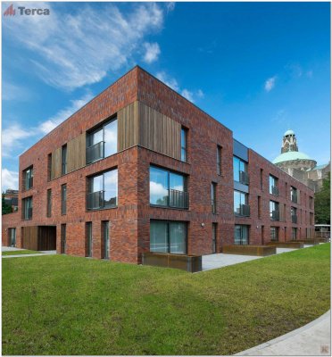 Кирпич ручной формовки Passiebloem WF50 TERCA (Wasserstrich) арт. 11139907 поверхность под старину на kkontinent.ru