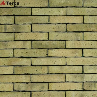  Внутренний кирпич для отделки Latero Menta WF50 Terca